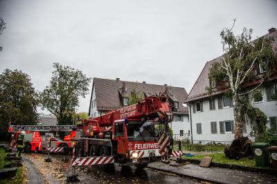 Stuttgart-Luginsland: Baum stuerzt nach Sturm auf Wohnhaus - Feuerwehr muss mit Kran anruecken